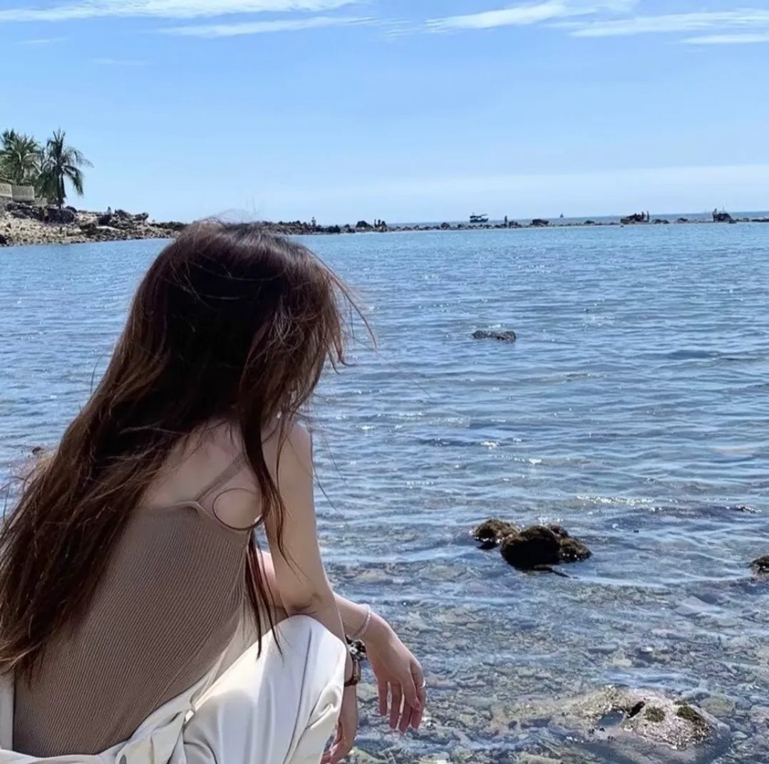 海豚的故事2